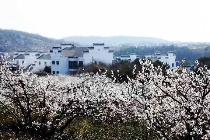 中国象棋启蒙